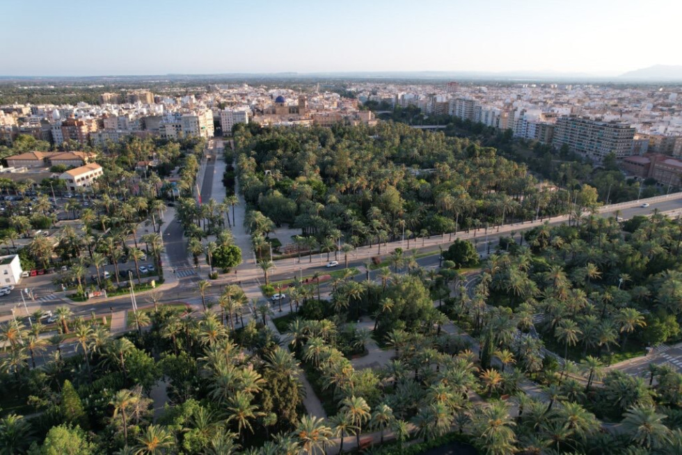 La Junta del Palmeral de Elche avala el ascensor panorámico junto al Puente de Santa Teresa