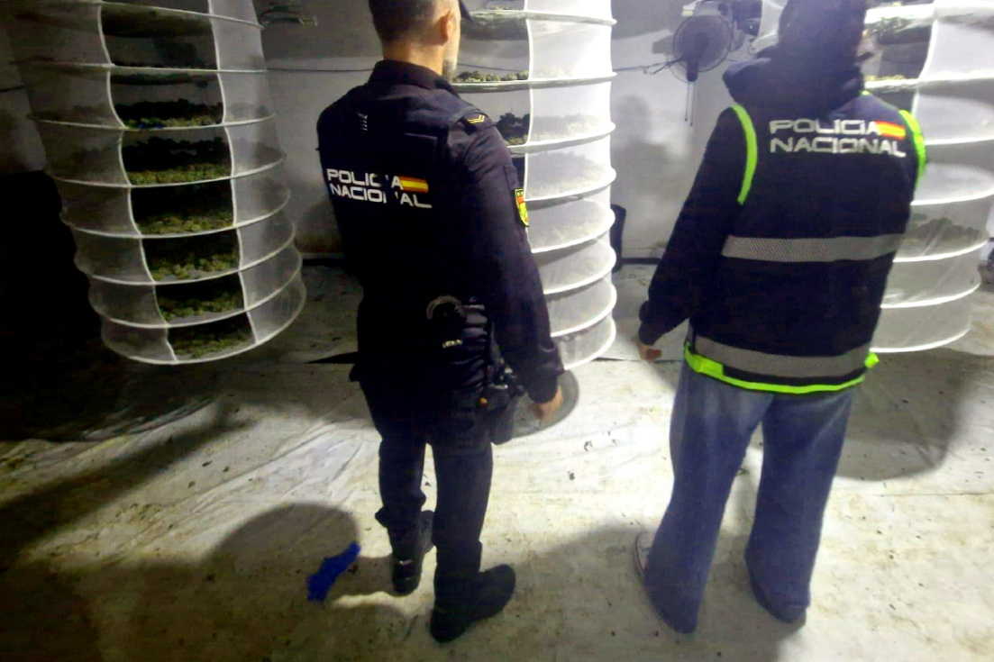 La operaci&oacute;n contra marihuana en Polop se salda con dos detenidos y la incautaci&oacute;n de 50 kilos