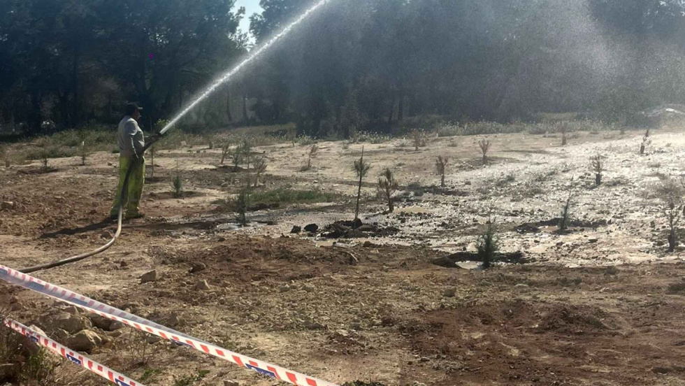 Plantaci&oacute;n de &aacute;rboles en la Avenida Beniard&aacute; de Benidorm