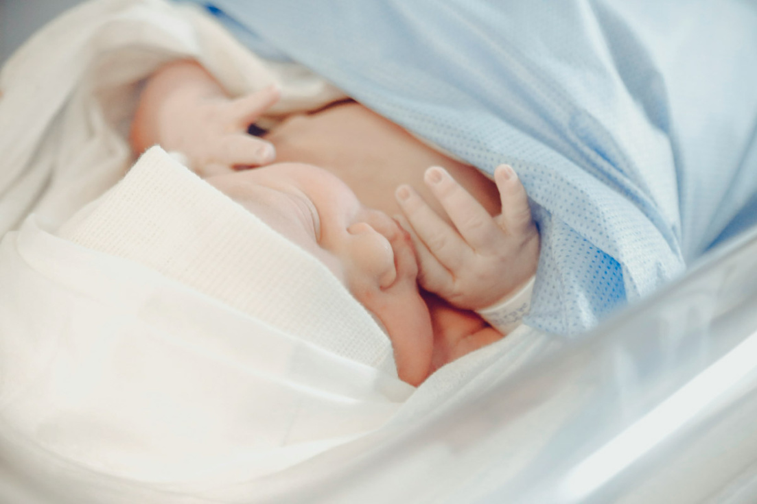 Ayuntamiento de Alicante busca reforzar el apoyo a las familias y dar continuidad a una l&iacute;nea de ayudas