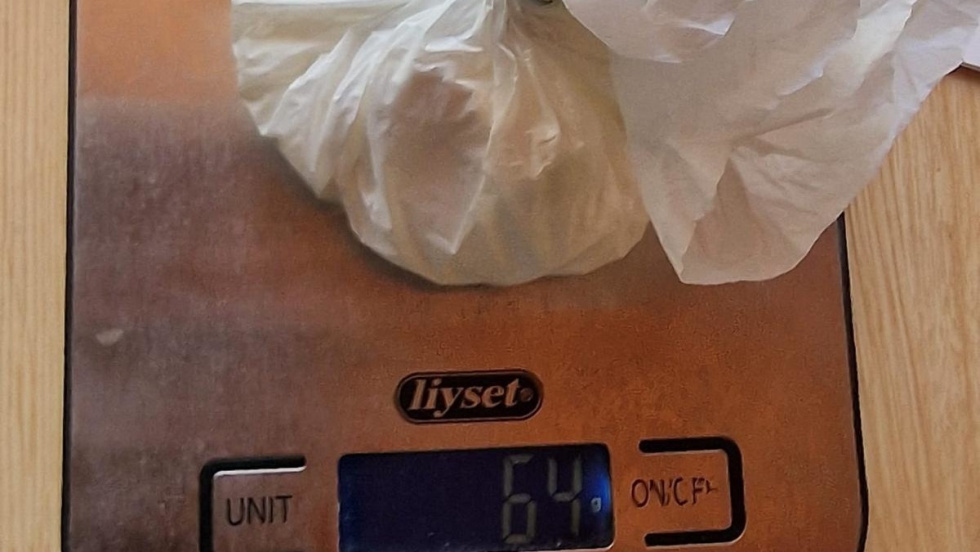 Coca&iacute;na incautada en un local de ocio de Benidorm.