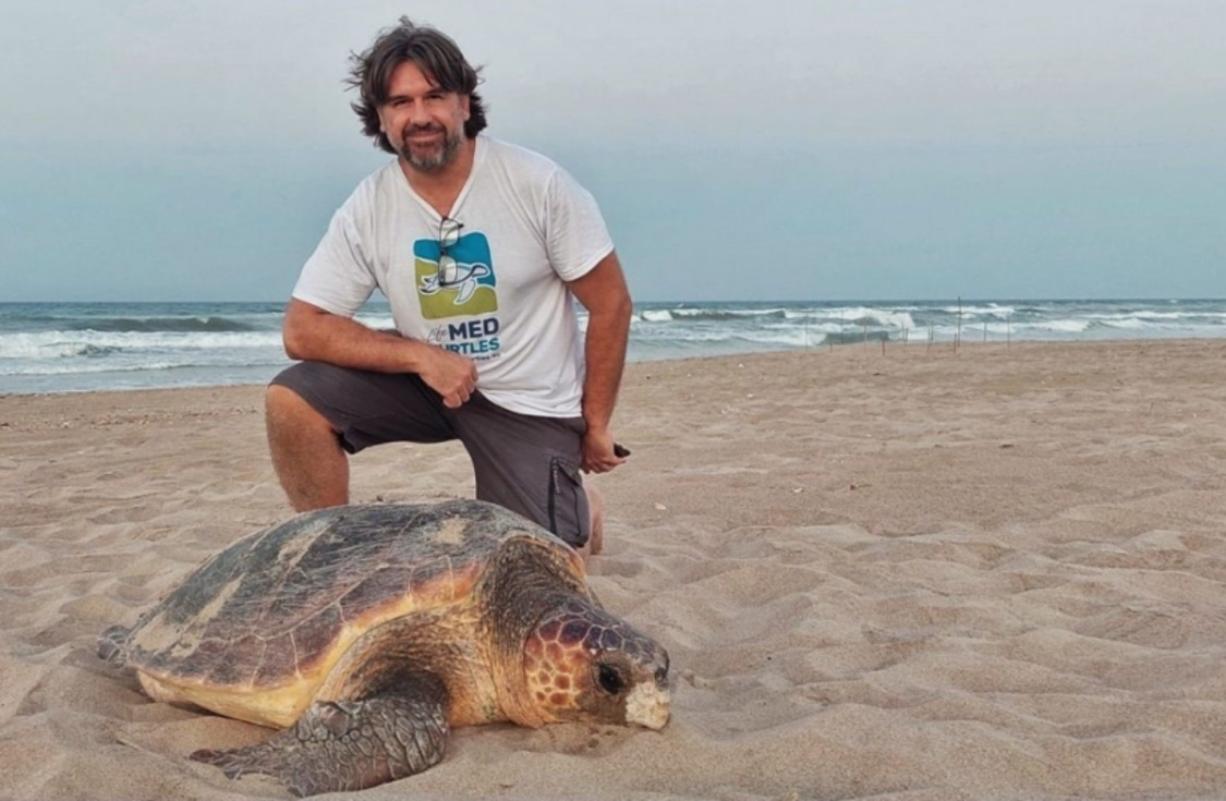 ¿Qué hacer si encuentro huevos de tortuga en una playa? Una charla en El Campello contesta a todas las preguntas