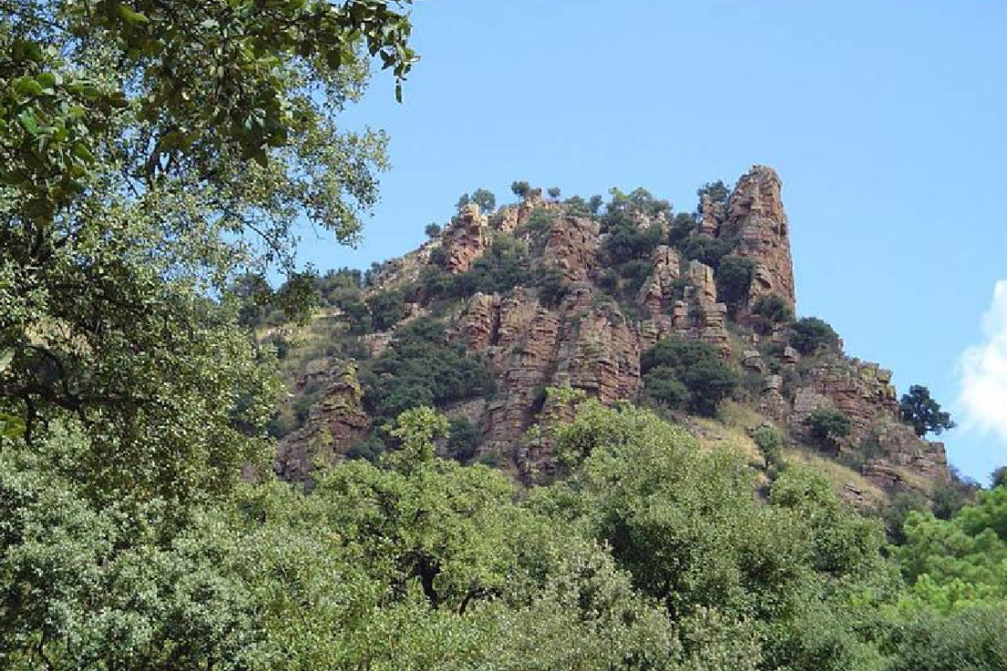 Las ayudas permiten financiar actuaciones como cortafuegos, mejora de pistas forestales o puntos de agua