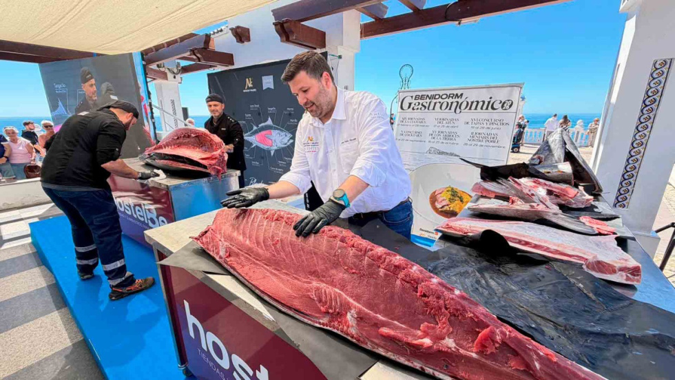 Ronqueo de un at&uacute;n de 280 kilos en Benidorm.
