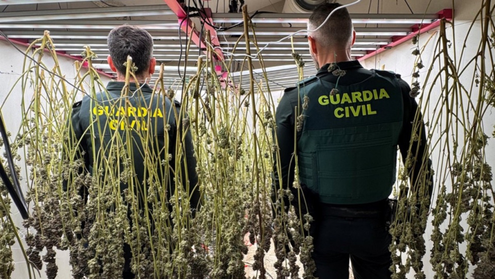 Desarticulado en Dolores un punto familiar de distribución de drogas con cocaína y marihuana