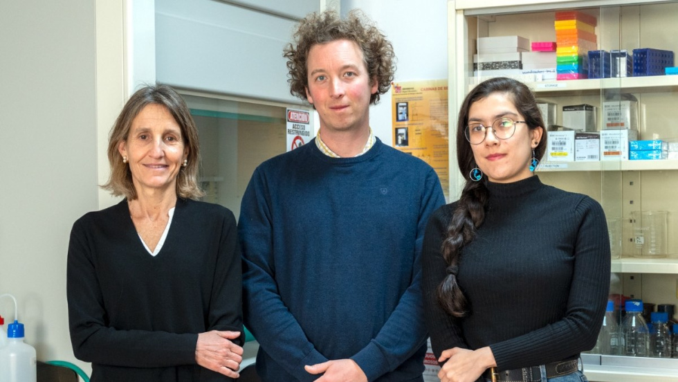 Investigadores en neurociencias de la UMH - CSIC.