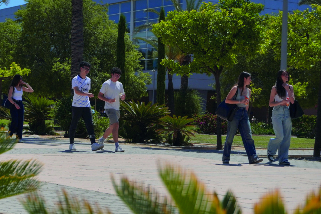 Univeridad de Alicante