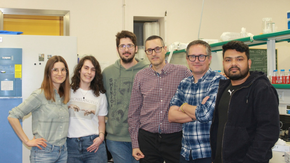 Mejores cultivos de maíz y tomate gracias a una investigación de la UMH