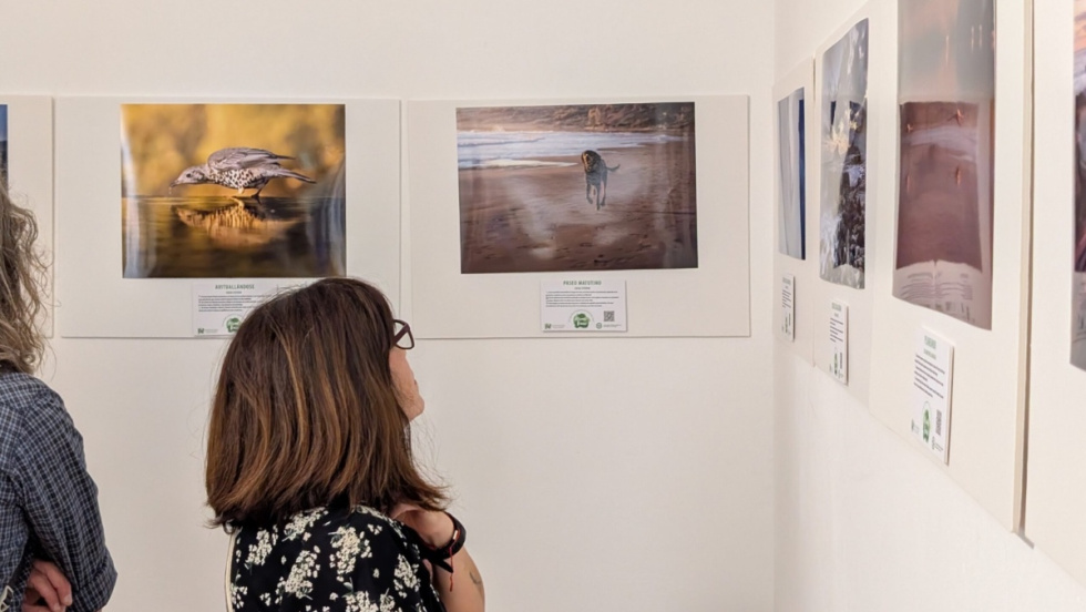 Alicante exhibe 400 imágenes del certamen de naturaleza ‘Alicante Renace’ en El Portalet