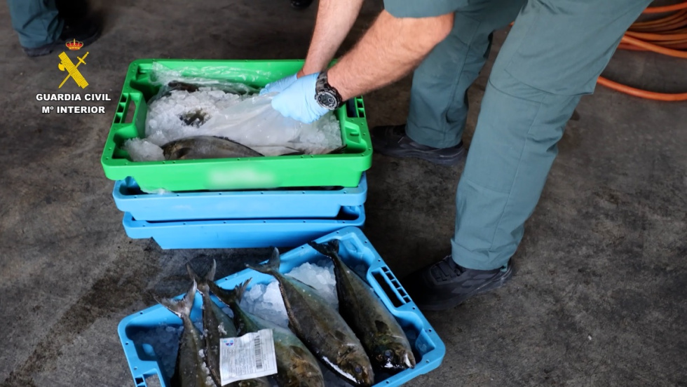 Incautaci&oacute;n de pescado robado en la provincia de Alicante.