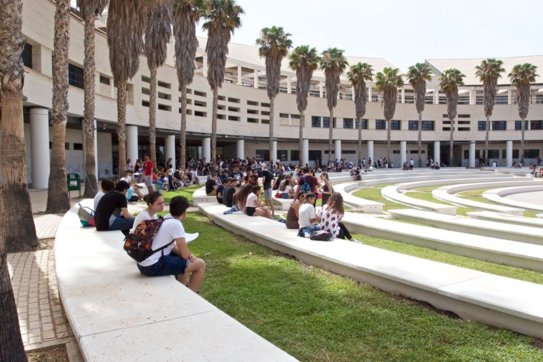 Universidad de Alicante