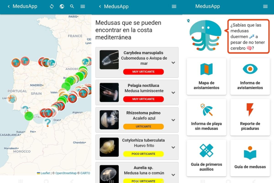 MedusApp desarrollada por la Universidad de Alicante y la Universitat Polit&egrave;cnica deVal&egrave;ncia