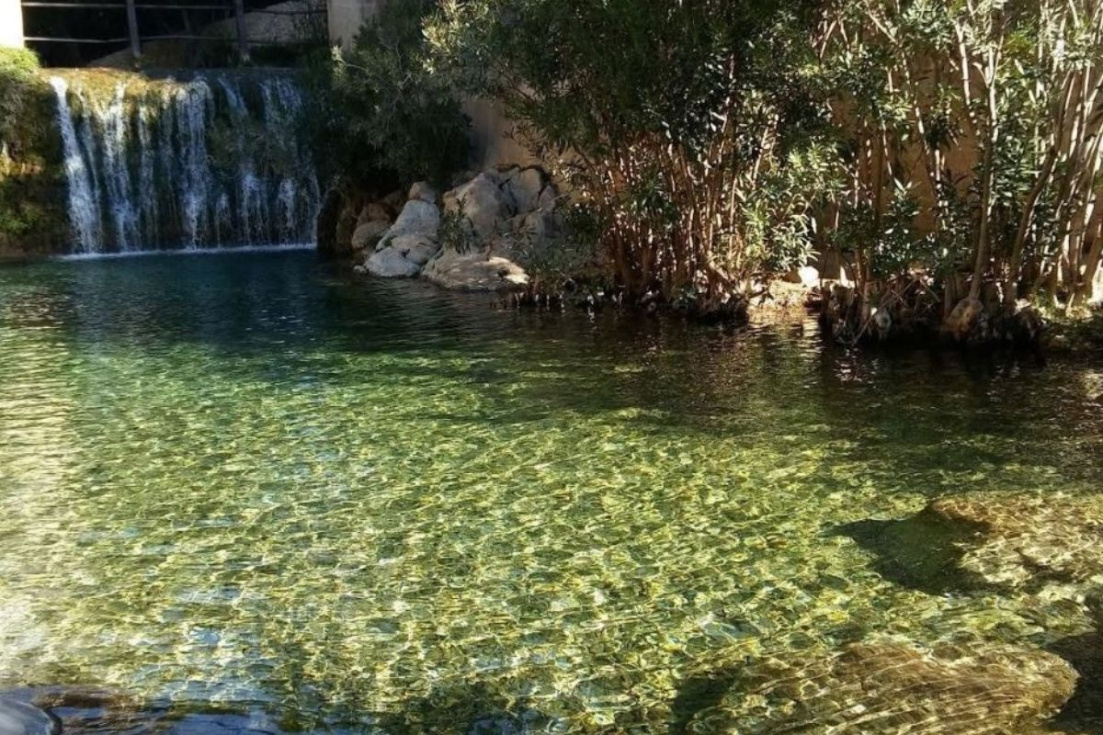 Fuentes del Algar
