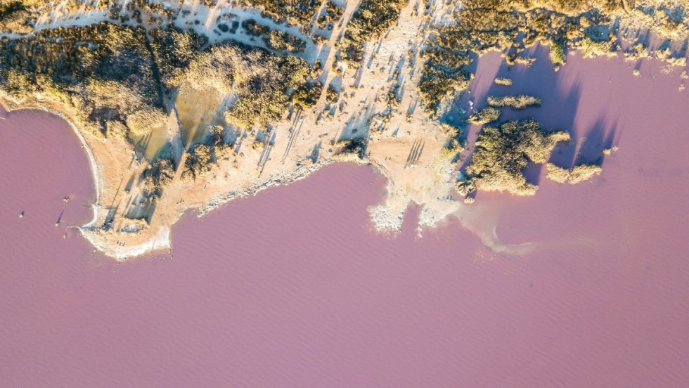 Las Salinas de Torrevieja: la magia de la laguna rosa y el ecoturismo de sal