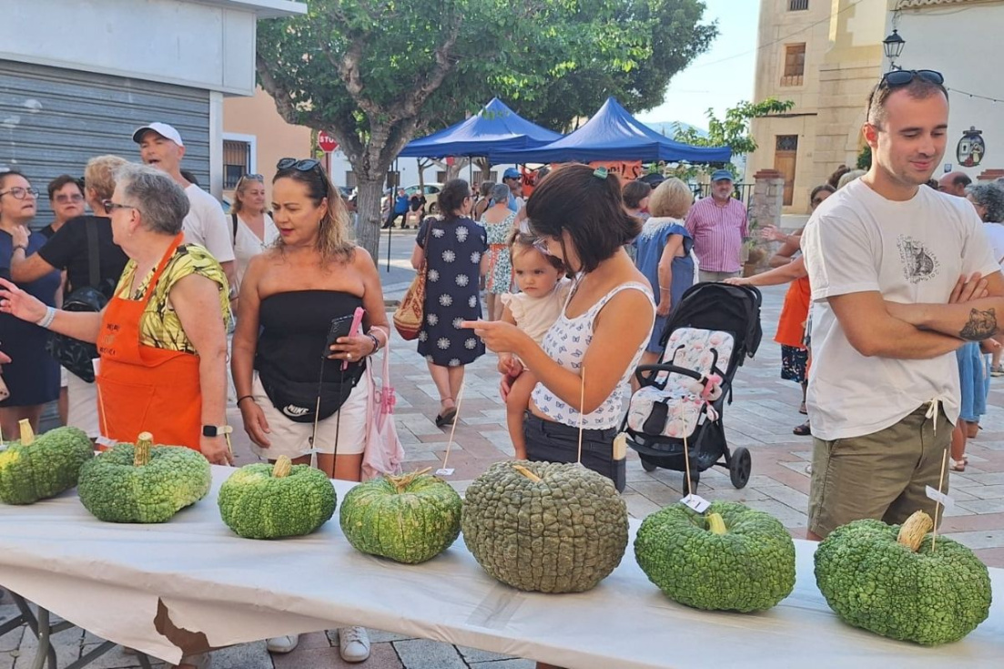 Villajoyosa celebra el IX Concurso de Calabaza Vilera en la Ermita
