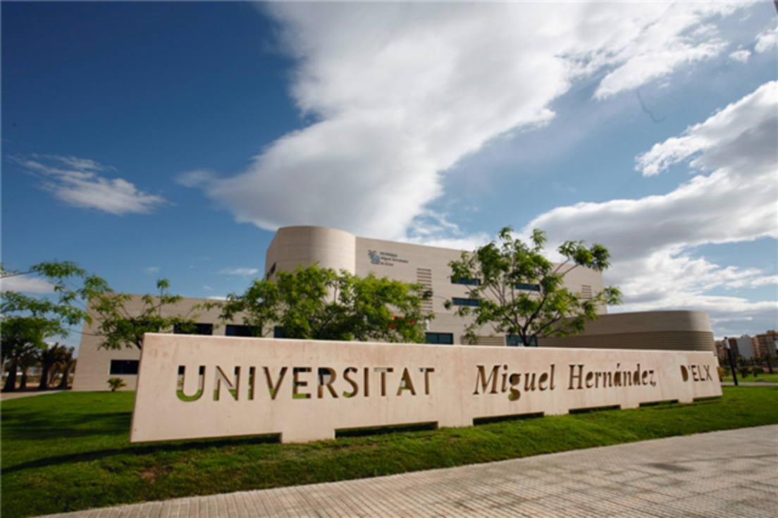 Universidad Miguel Hern&aacute;ndez de Elche.
