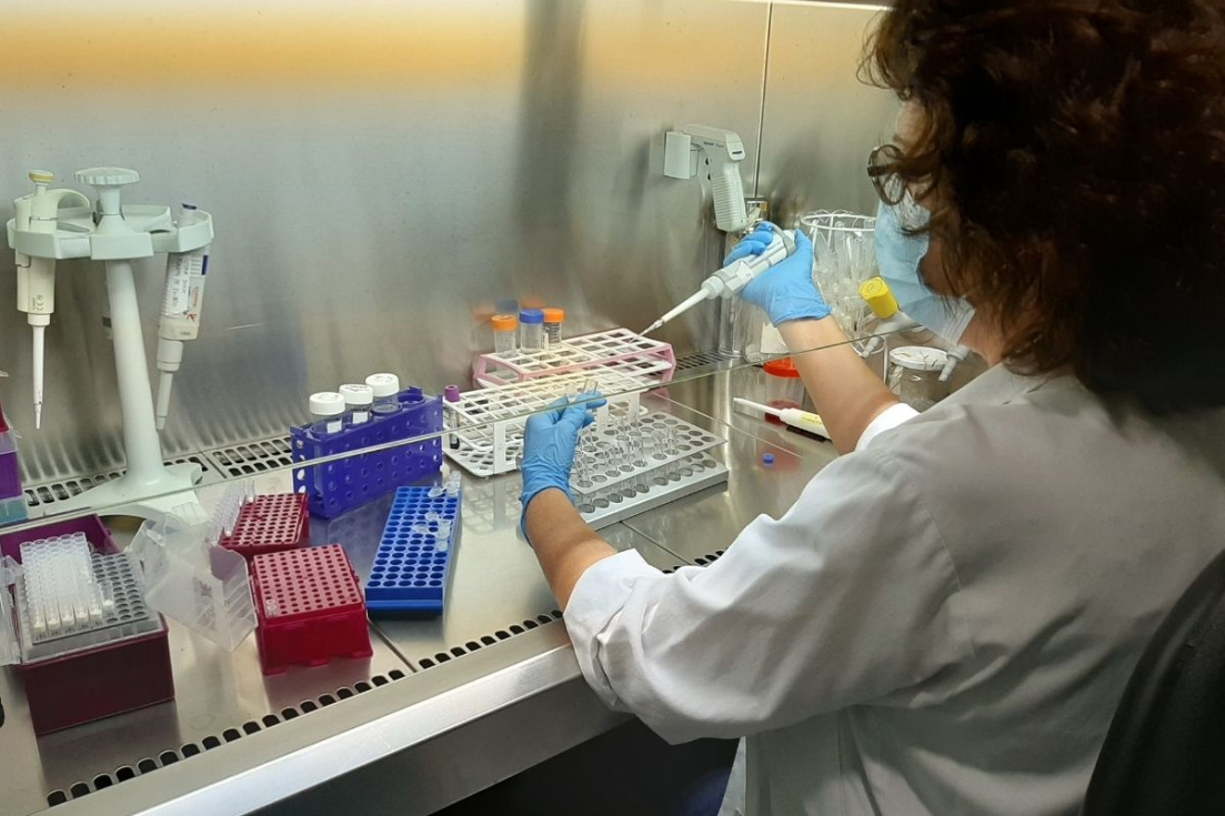 Investigaci&oacute;n en un laboratorio de la Comunidad Valenciana