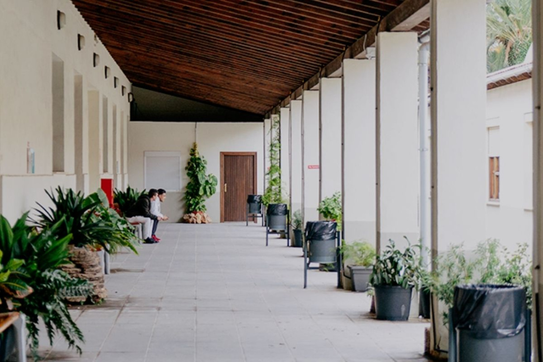 L&rsquo;Escorxador Centre de Cultura Contempor&agrave;nia de Elche