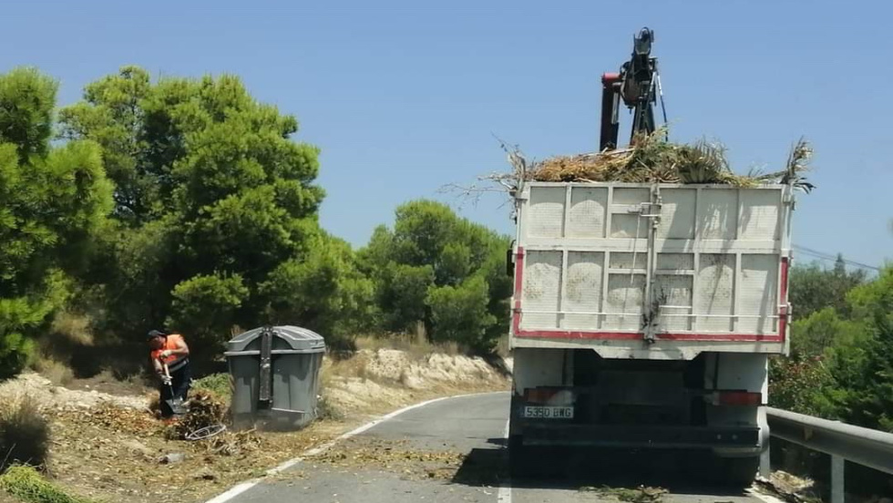 Recogida de poda en partidas rurales de Alicante.