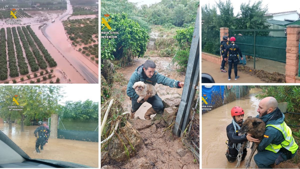 Labores de rescate de la Guardia Civil en la DANA de la Marina Alta - Octubre 2026