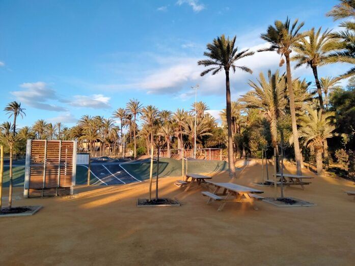 Renovación del Palmeral Alicante